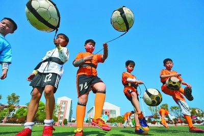 建立三案预 建立三案预